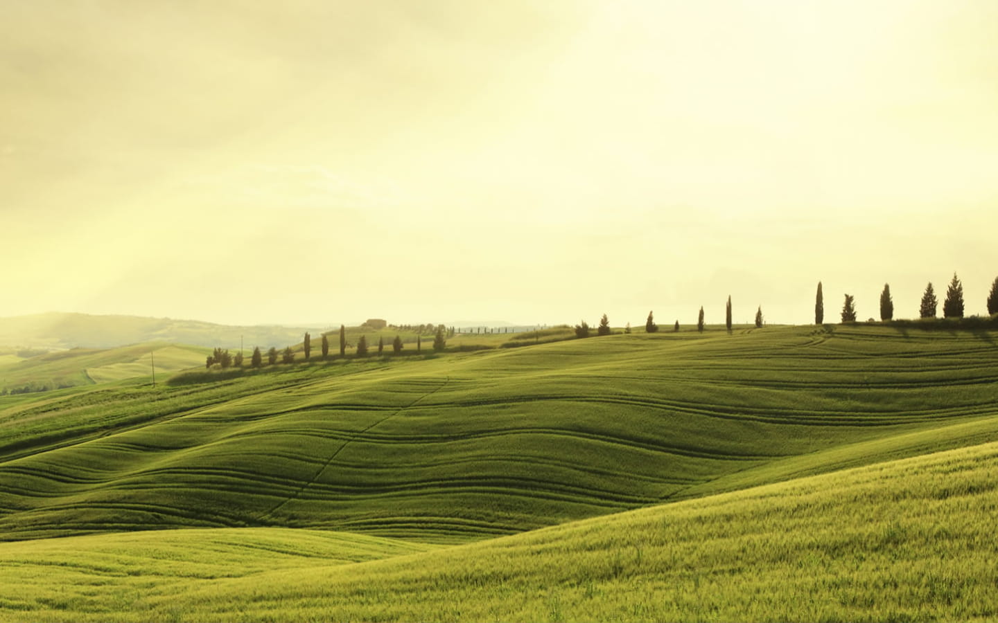 panorama poderi arcangelo